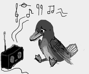 listening duck